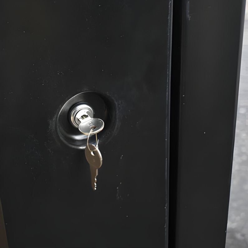 Ecosure Water Pump System Enclosure - Cabinet only - close up view two keys